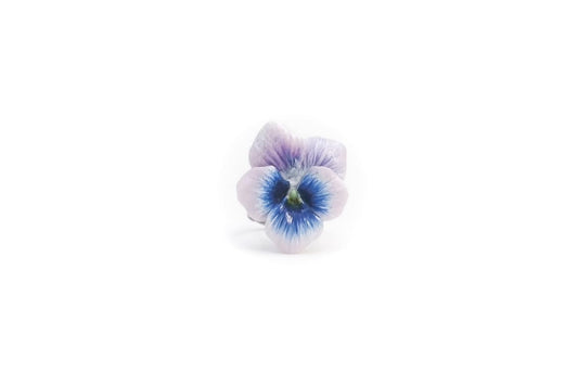 Anello con viola del pensiero viola